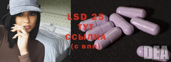 ГАЛЛЮЦИНОГЕННЫЕ ГРИБЫ Остров
