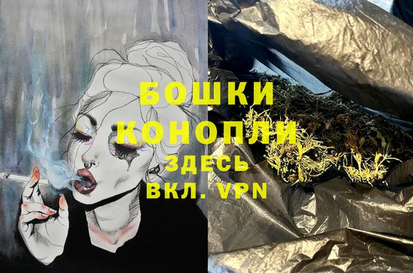 ГАЛЛЮЦИНОГЕННЫЕ ГРИБЫ Остров