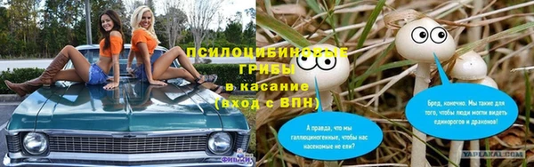 ГАЛЛЮЦИНОГЕННЫЕ ГРИБЫ Остров
